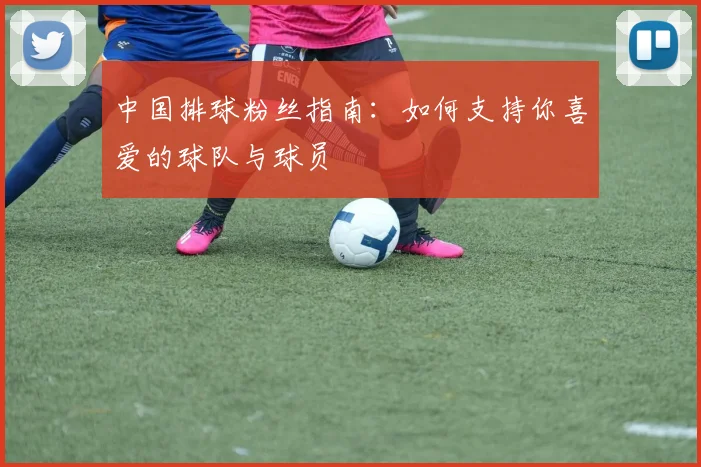 中国排球粉丝指南：如何支持你喜爱的球队与球员