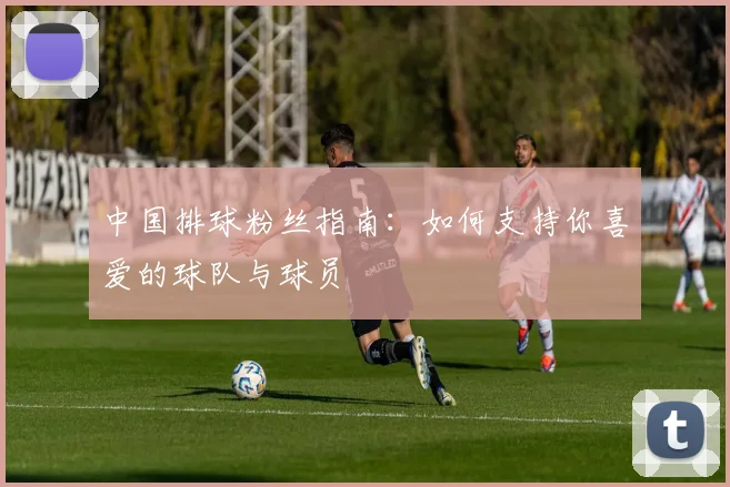 中国排球粉丝指南：如何支持你喜爱的球队与球员